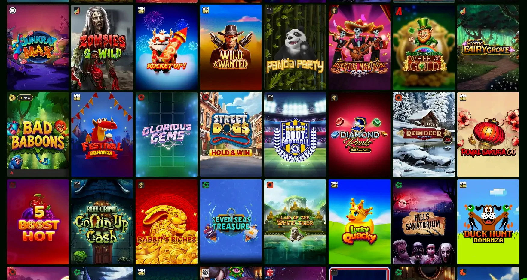 Rakoo Casino privacybescherming en gegevensbeveiliging